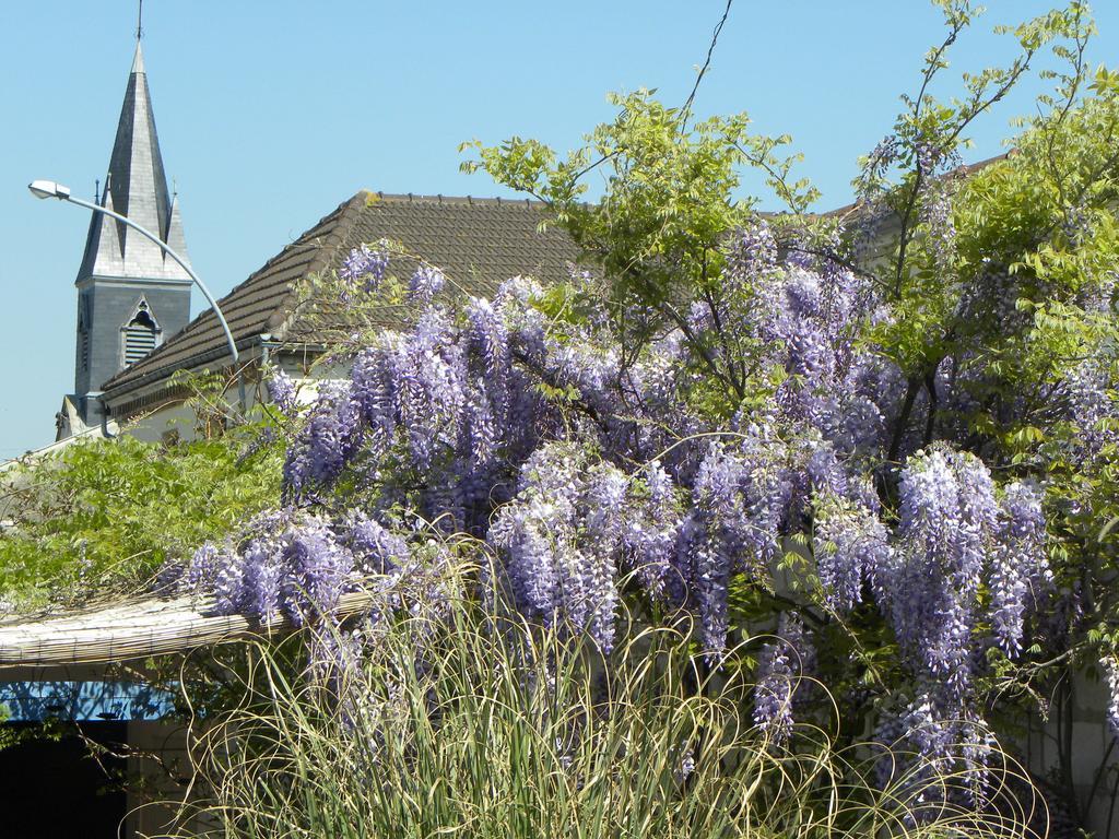 Entre Cour Et Jardin Hotel Chalons en Champagne Luaran gambar